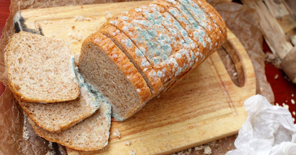 A loaf of bread covered with mold