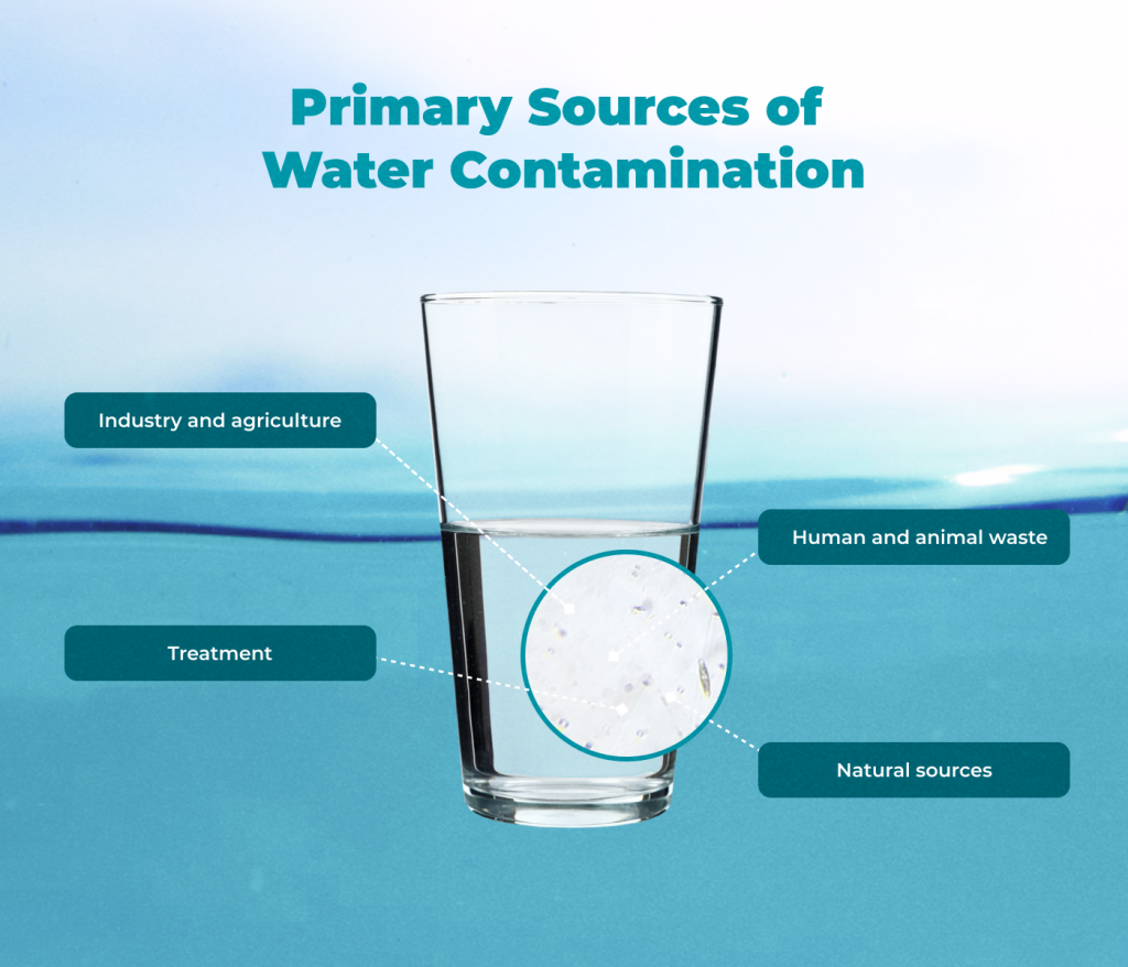 Illustration of the sources of tap water contamination