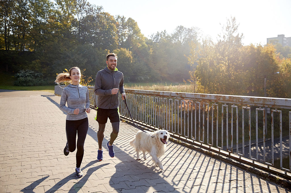 Couple jogging in the sun with their dog