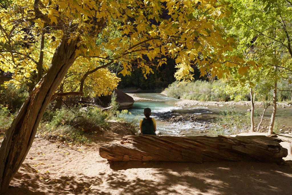 Lady sitting on a fallen tree trunk in nature in front of a river