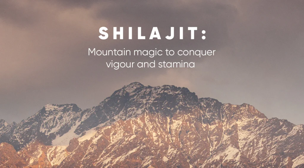 Shilajit Mumijo Mitigate Stress — Non-Toxic Gift Guide: The Simple Wellness Boost for Your Loved Ones